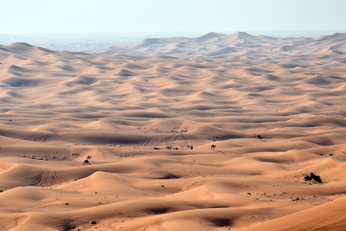 Morning desert safari in Dubai