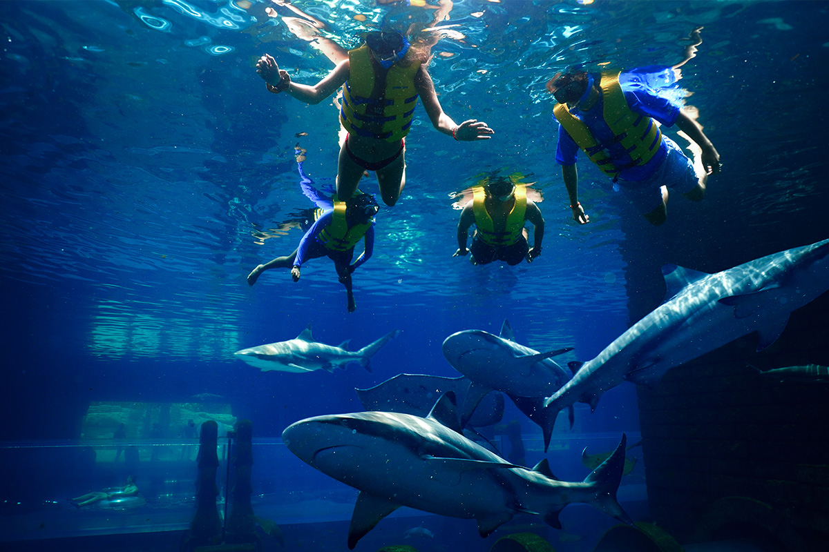 Snorkeling with sharks in The Atlantis hotel in Dubai