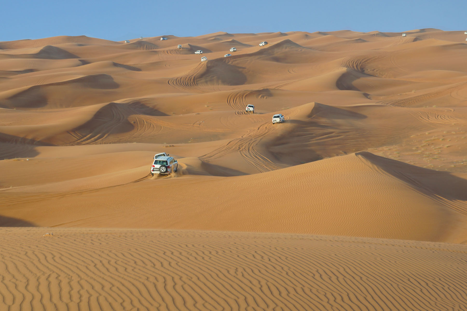 Desert safari in Dubai & dune bashing